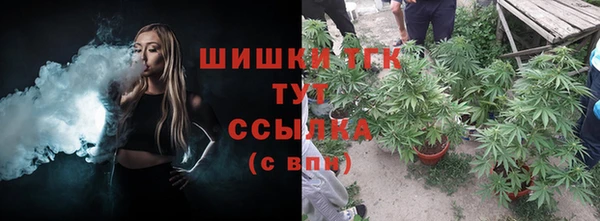 круглые Бородино
