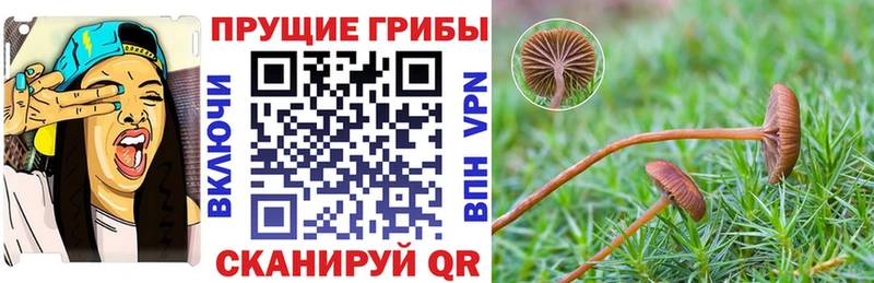 Галлюциногенные грибы GOLDEN TEACHER  Кольчугино 
